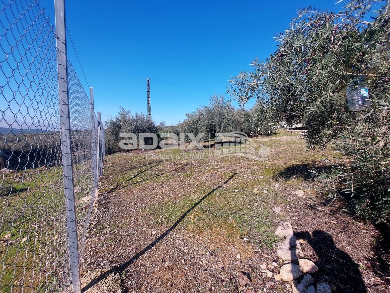 Rural Property in Sale in  , Córdoba 90.000 €