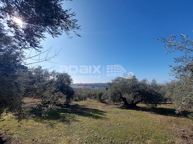 Rural Property in Sale in  , Córdoba 90.000 €