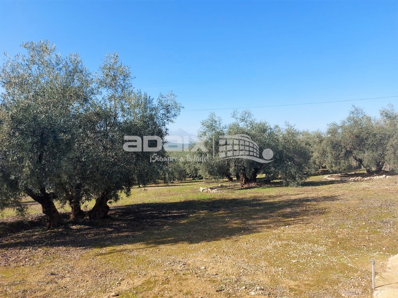 Rural Property in Sale in  , Córdoba 90.000 €