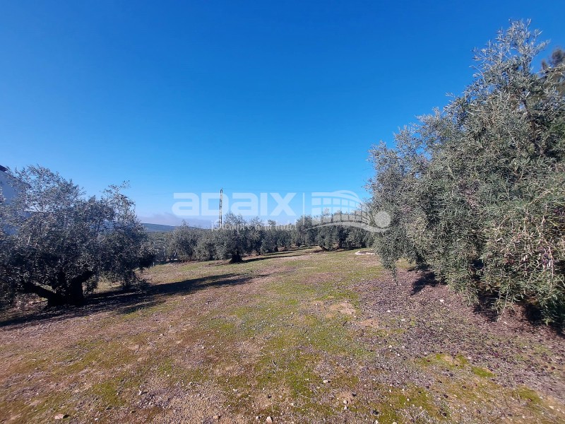 Rural Property in Sale in  , Córdoba 90.000 €