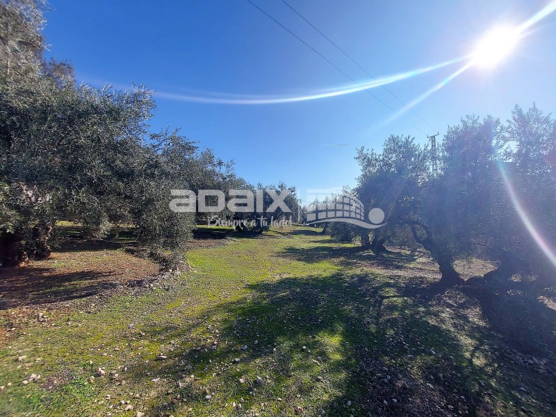 Rural Property in Sale in  , Córdoba 90.000 €