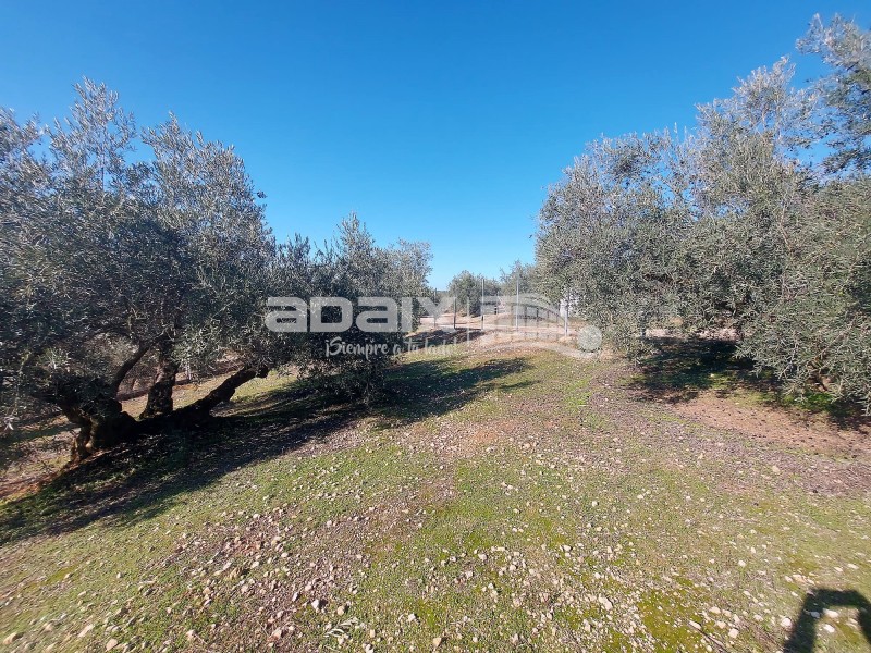 Rural Property in Sale in  , Córdoba 90.000 €
