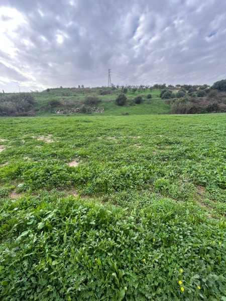 Finca Rústica en Alquiler en Alhaurín de la Torre, Málaga 2.200 € / Mes