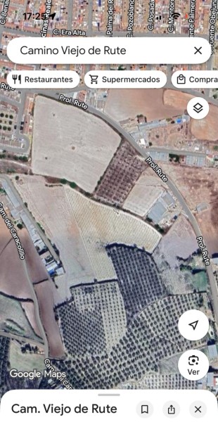 Рассадник в Продажа в Lucena, Córdoba 109.130 €