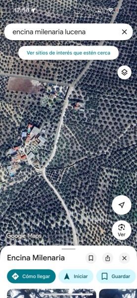 Рассадник в Продажа в , Córdoba 85.000 €