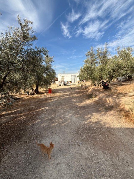 Finca Rústica en venda en Lucena, Córdoba 70.000 €