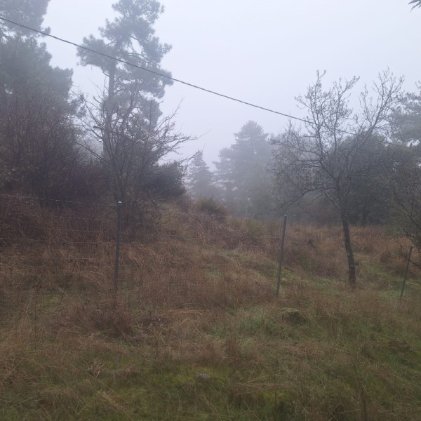 Parcela en venta en San Lorenzo de El Escorial